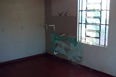 WhatsApp Image 2023-05-23 at 10.17.58 AM